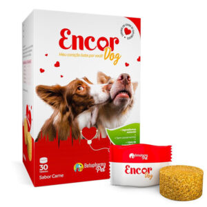 Encor Dog