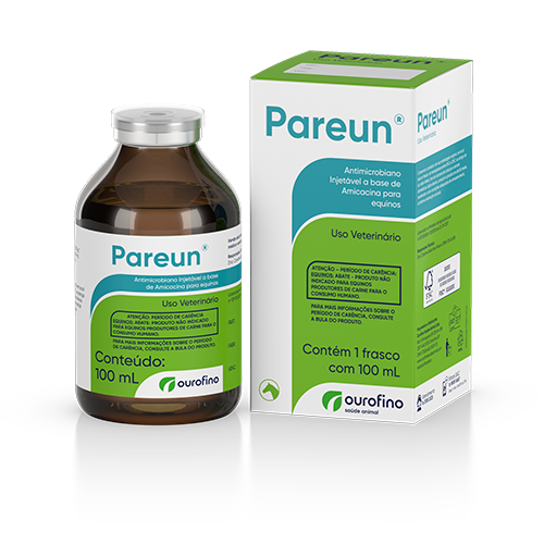 Pareun